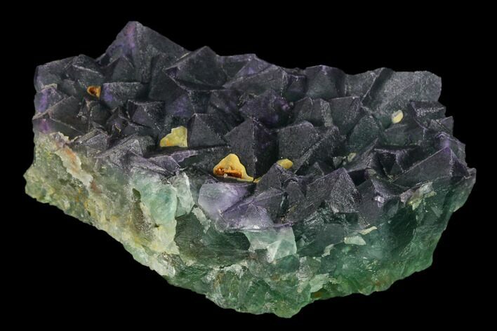 Purple-Green Octahedral Fluorite Crystal Cluster - Fluorescent! #149669